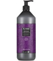 شامپو ضد زردی بلک پروفشنال مدلBlack Professional Black Platinum Absolute Blond حجم 1000میلی لیتر
