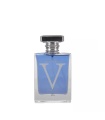 عطر مردانه ویکتور هوگو V ادوپرفیوم 100 میل