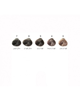 رنگ موی مردانه های اسپیدی  hi-speedy اش گری Ash Gray