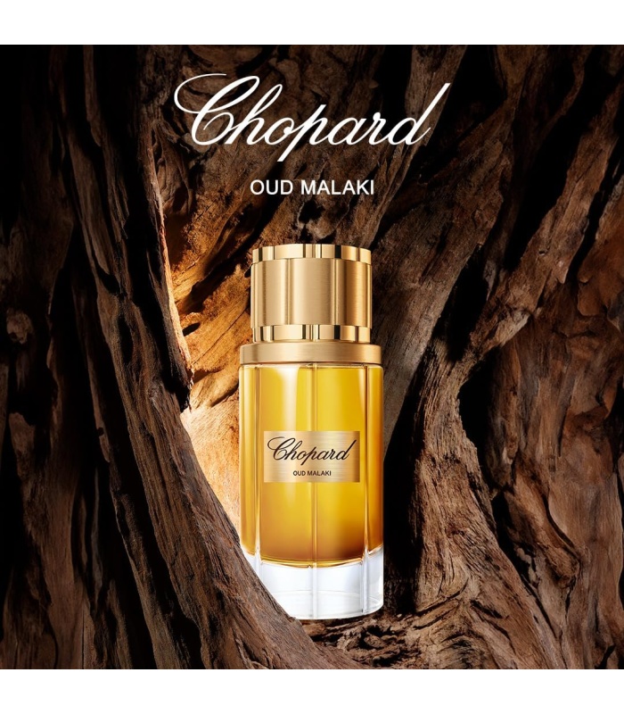 عطر مردانه چوپارد عود ملکي ادوپرفيوم 80ميل