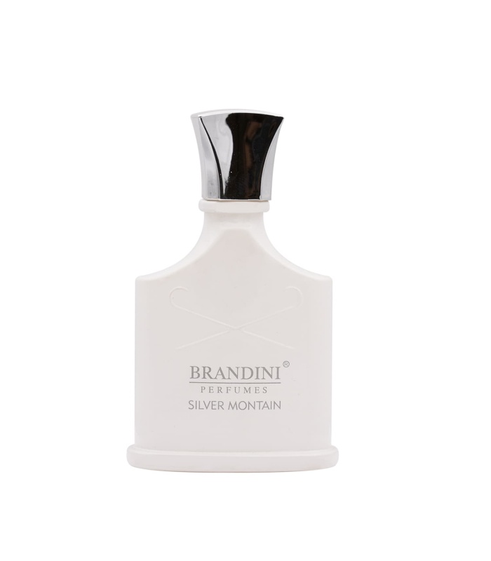 عطر برندینی سیلور مونتین زنانه و مردانه Silver montain حجم  33 میل