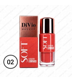 رژگونه مایع 3 کاره دیویو Divio مدل ROSE RITUAL شماره 02