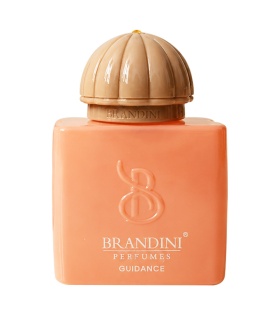 عطر برندينی آمواج گايدنس  حجم 33 ميل