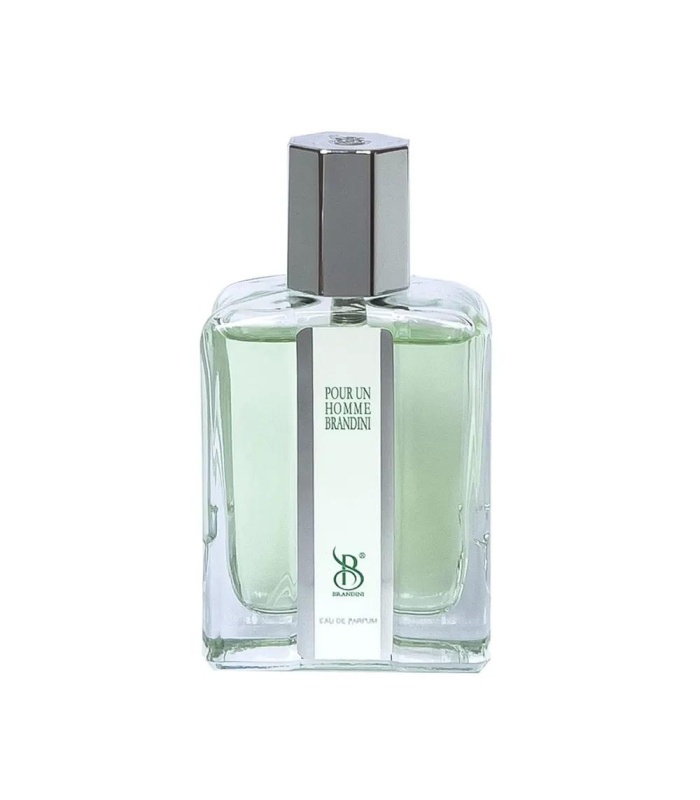 عطر برندينی مردانه پورآن هم حجم 33ميل