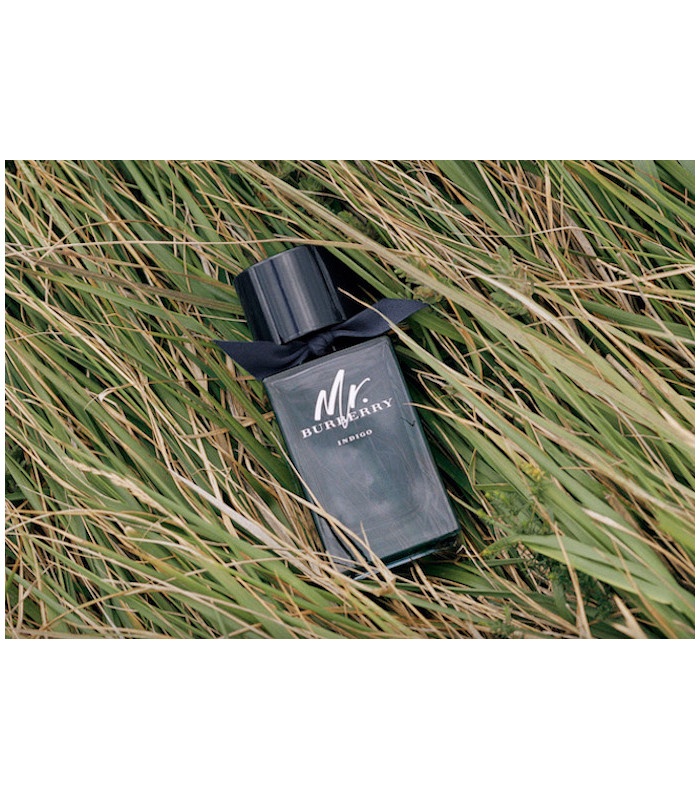 عطر باربری مستر باربری ادوتویلت (Burberry Mr. Burberry)