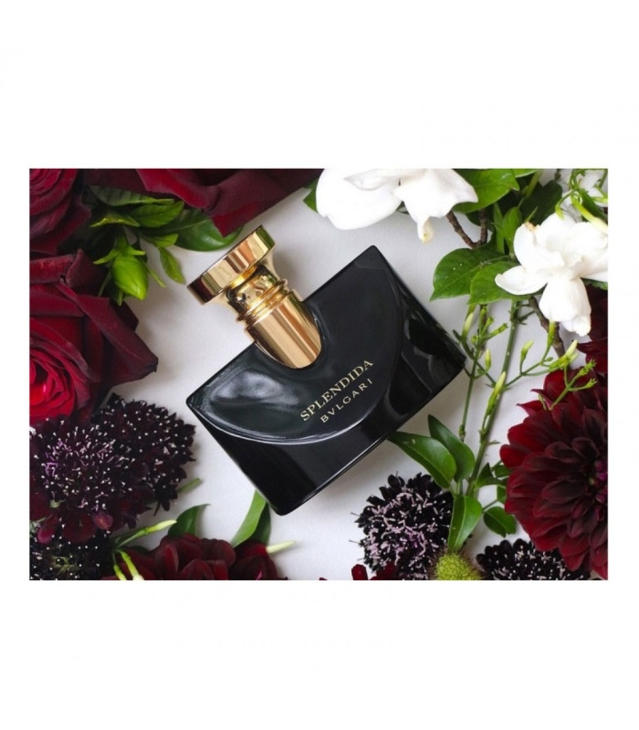 عطر بولگاری جاسمین نویر اسپلندیدا (Bvlgari Jasmin Noir)