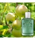 عطر پرفیوم د مارلی گرینلی (Parfums De Marly Greenley)