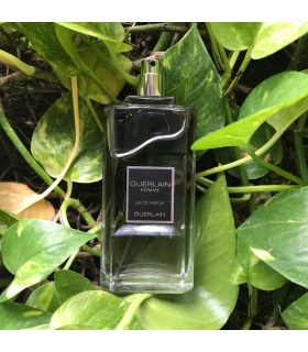 عطر گرلن هوم ادوپرفیوم (Guerlain Homme)