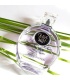 عطر هالووین میا می ماین ادوپرفیوم (Halloween Mia Me Mine)