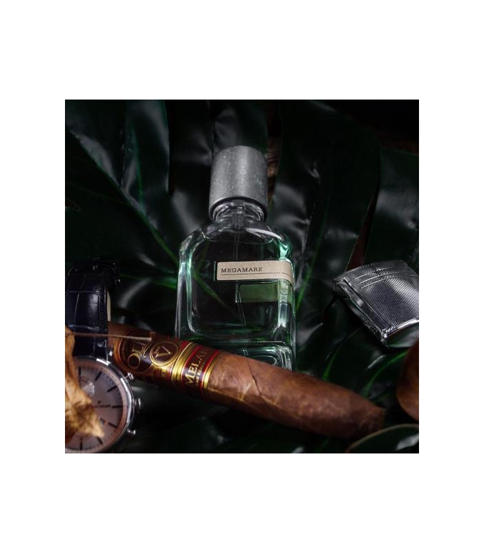 عطر اورتو پاریسی مگاماره (Orto Parisi Megamare)
