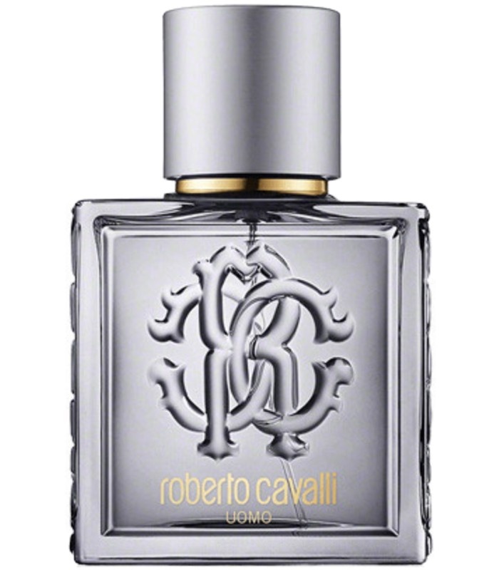 عطر روبرتو کاوالی اومو سیلوراسنس (Roberto Cavalli Uomo Silver)