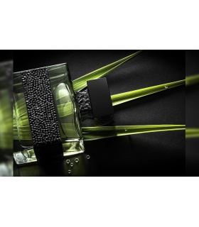 عطر مارتین میکالف جول فور هیم (Micallef Jewel for Him)