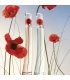 عطر کنزو فلاورزنانه (Kenzo Flower By Kenzo)