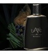 عطر ل آرک ممواق کارنت وویاژ (l Arc Memoir)