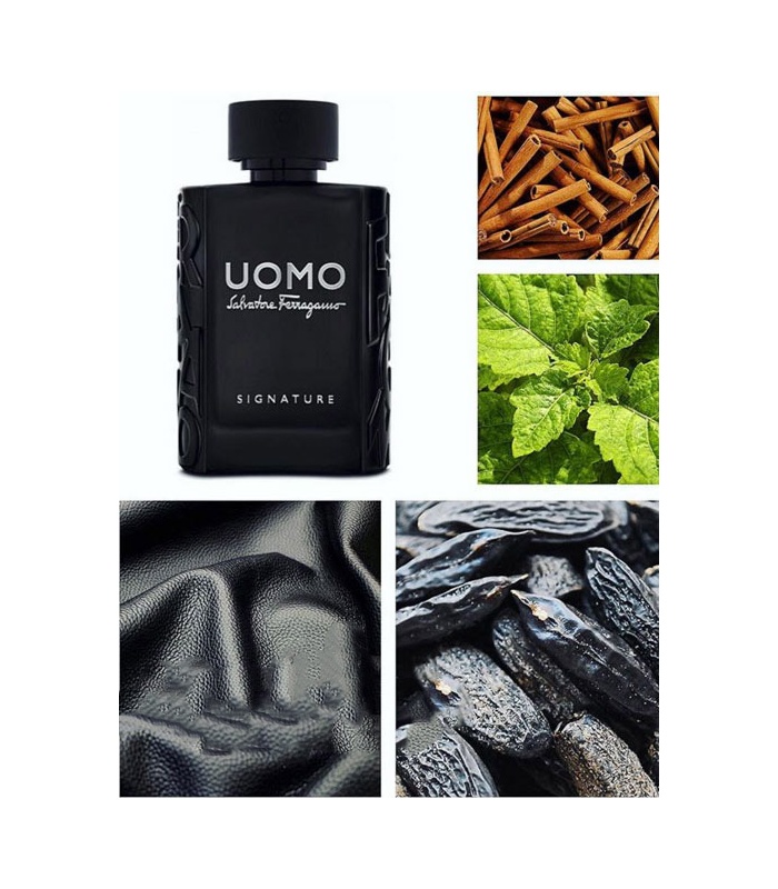 عطر سالواتوره فراگامو اومو سیگنچر (Salvatore Ferragamo Uomo Signature)
