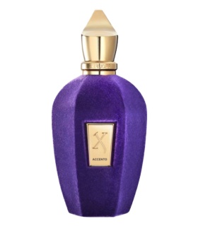 عطر زرجوف کالکشن اچنتو (Xerjoff Collection Accento)