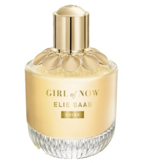 Elie saab perfume 100ml price online