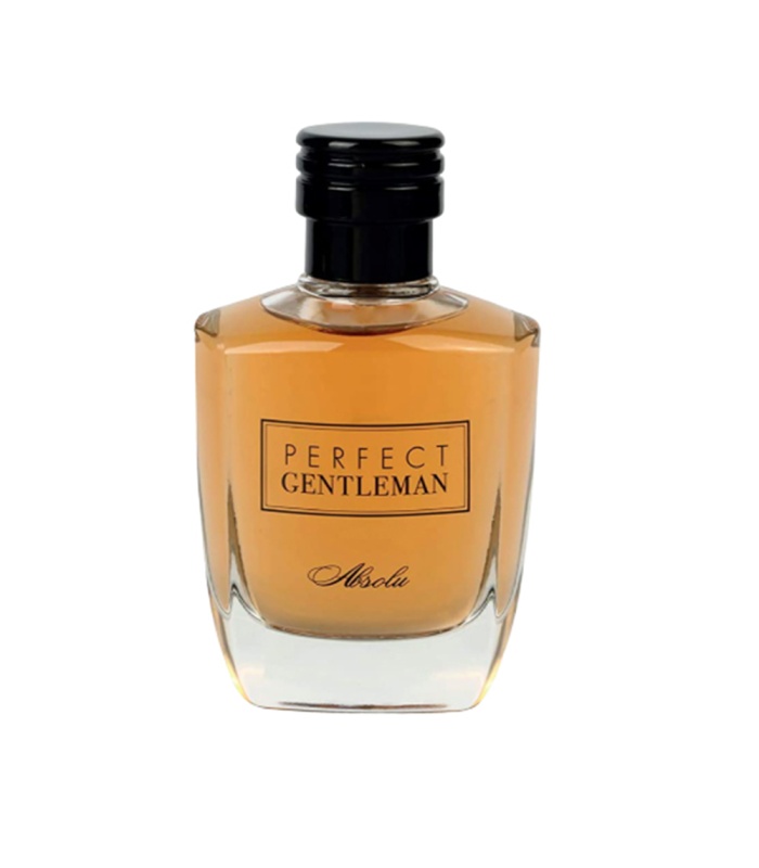 آرت اند پرفیوم پرفکت جنتلمن ابسولوت مردانه ادو پرفیوم 100 میلی لیتر