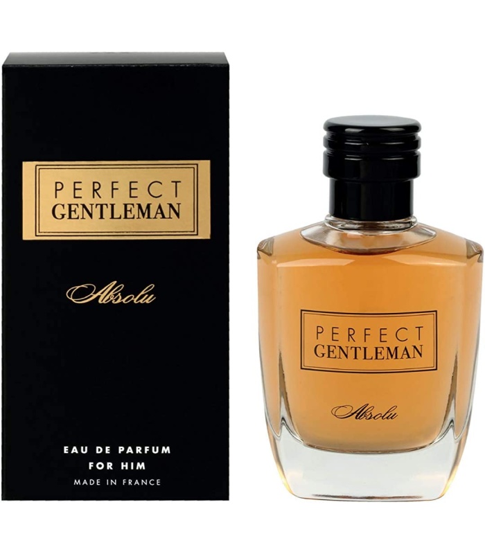آرت اند پرفیوم پرفکت جنتلمن ابسولوت مردانه ادو پرفیوم 100 میلی لیتر