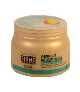 ماسک مو ترمیم کننده ابسولوت شاین سولفات فری ا Absolut Shine Repair Keratin & Argan Oil Mask
