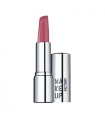 رژ لب میکاپ فکتوری شماره Makeup Factory Lip Color 231
