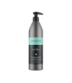 سرم مو آلویوز مدل ضد موخوره anti frizz حجم 500 میلی لیتر