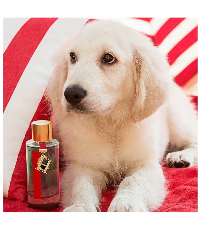 عطر کارولینا هررا سی اچ لئو ادوتویلت زنانه ۲۰۱۷ (Carolina Herrera CH L`eau 2017)