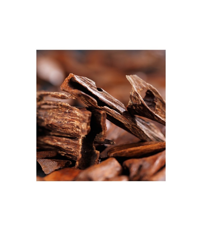 عطر لالیک ساتین (Lalique Satine)