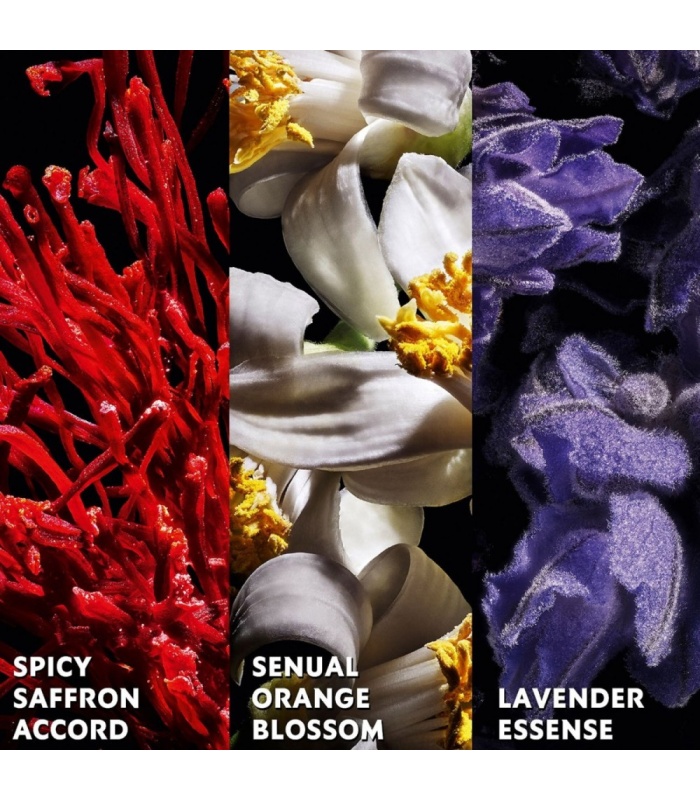 عطر ایو سن لورن لیبر ل پرفیوم زنانه (Yves Saint Laurent Libre Le Parfum)