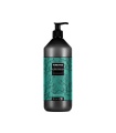 شامپو آبرسان مو بلک پروفشنال مدل Black Professional Turquoise حجم 1000میلی لیتر